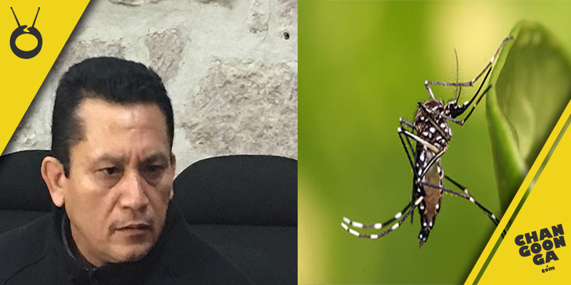 Michoacán-13-casos-dengue-enero-2017-SSM