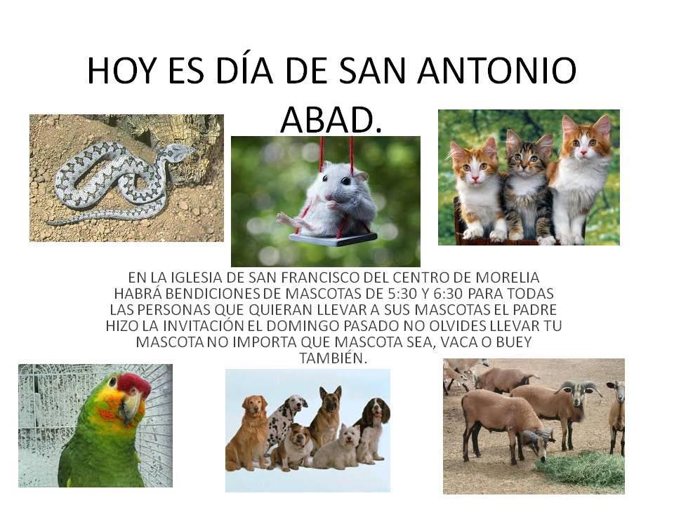 Morelia: convocan a bendecir animales por el día de San Antonio Abad