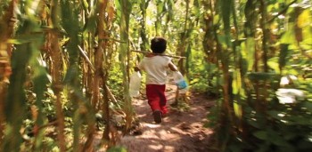 Niño jornaleros trabajo