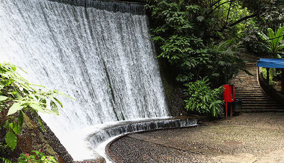 Parque Nacional Barranca del Cupatitzio Uruapan