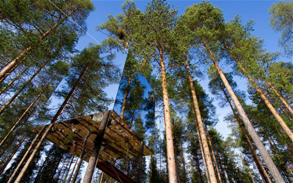 Tree hotel