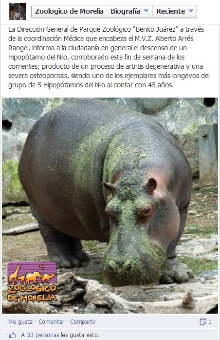 hipopotamo muerto publicación FB