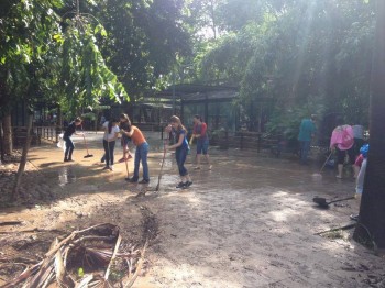 Voluntarios limpiando el Zoo