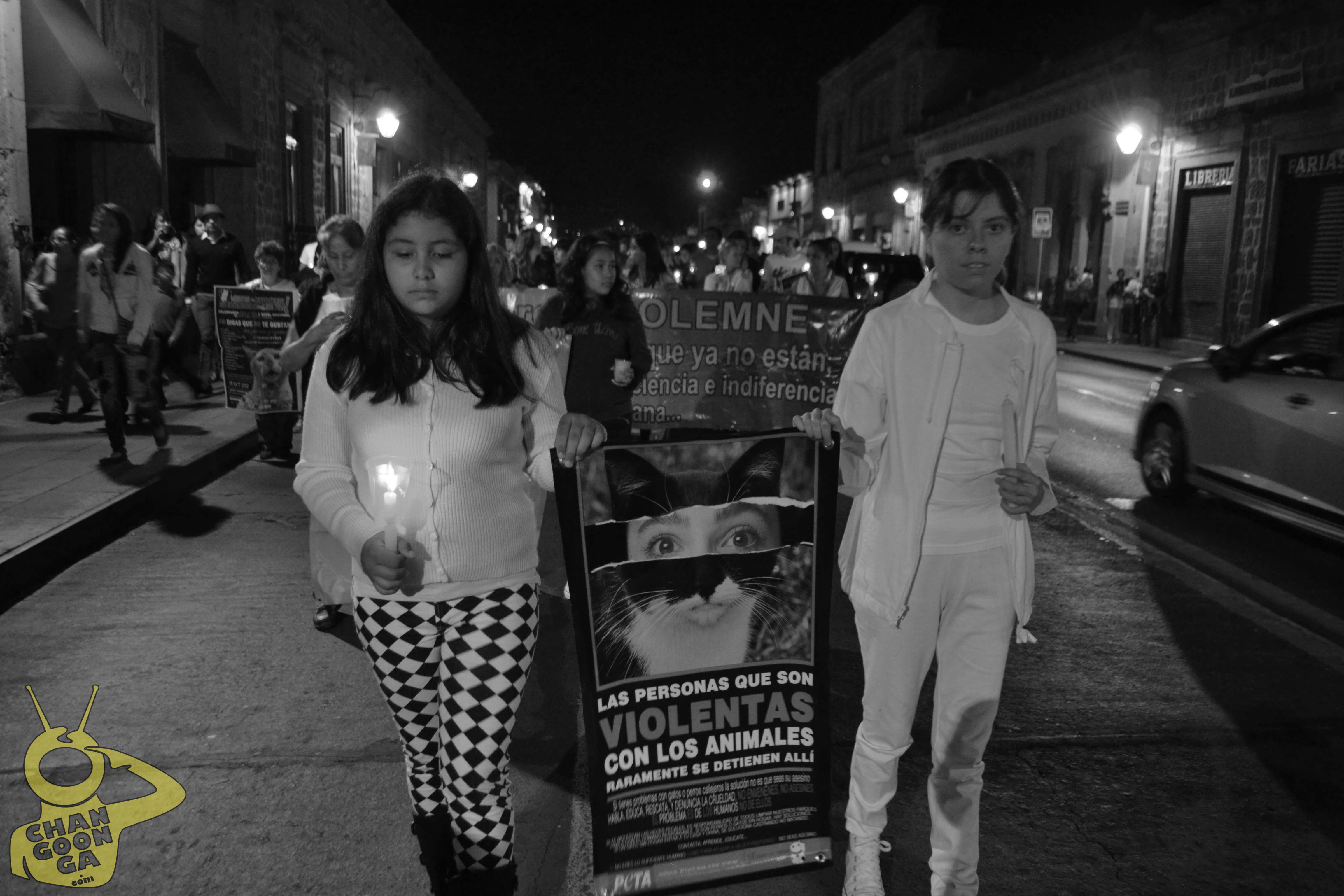 Marcha Solemne Morelia maltrato animal01