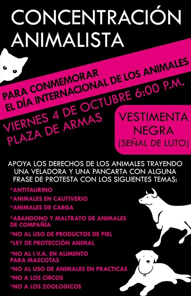 Morelia marcha solemne por los animales que ya no están2