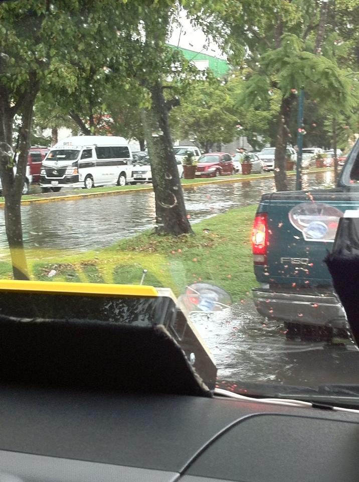 camelinas inundación lluvias