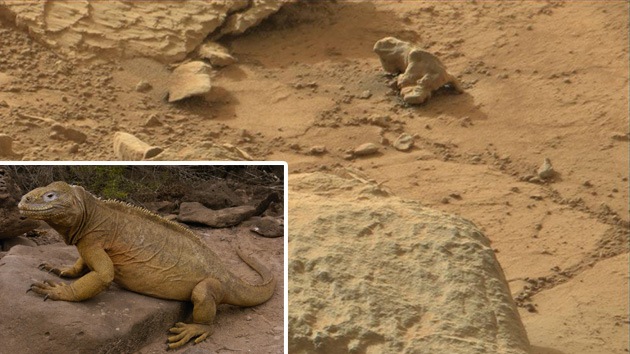 iguana en marte la nasa