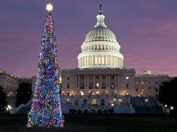 Árbol de Navidad Washington 13