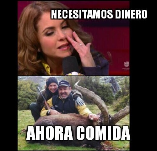 Memes Lucero