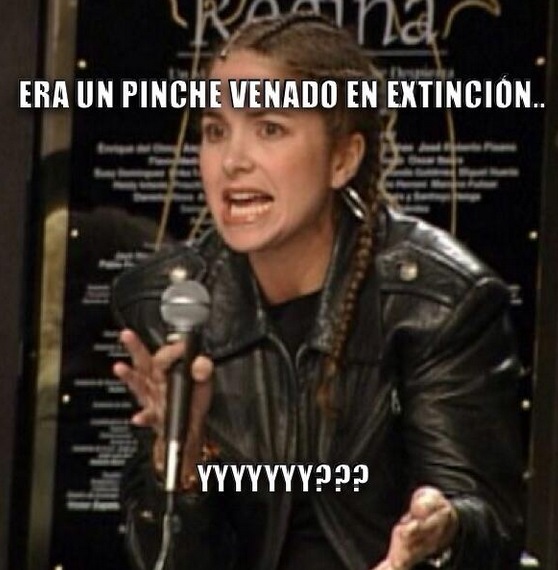 Memes Lucero