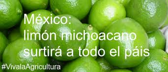 limon michoacano surtirá méxico