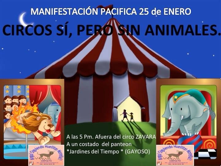 morelia manifestación circo 25 ene convocatoria