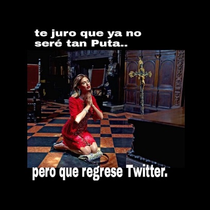 memes Volvió Twitter