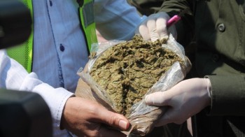 MARIHUANA INCAUTADA BOLSA