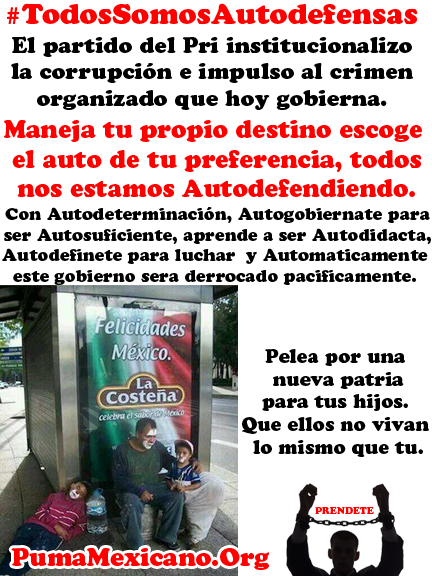 autodefensas todos somos campaña 2