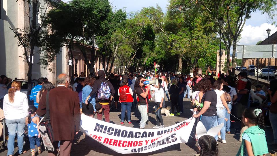 marcha animalistas en morelia3