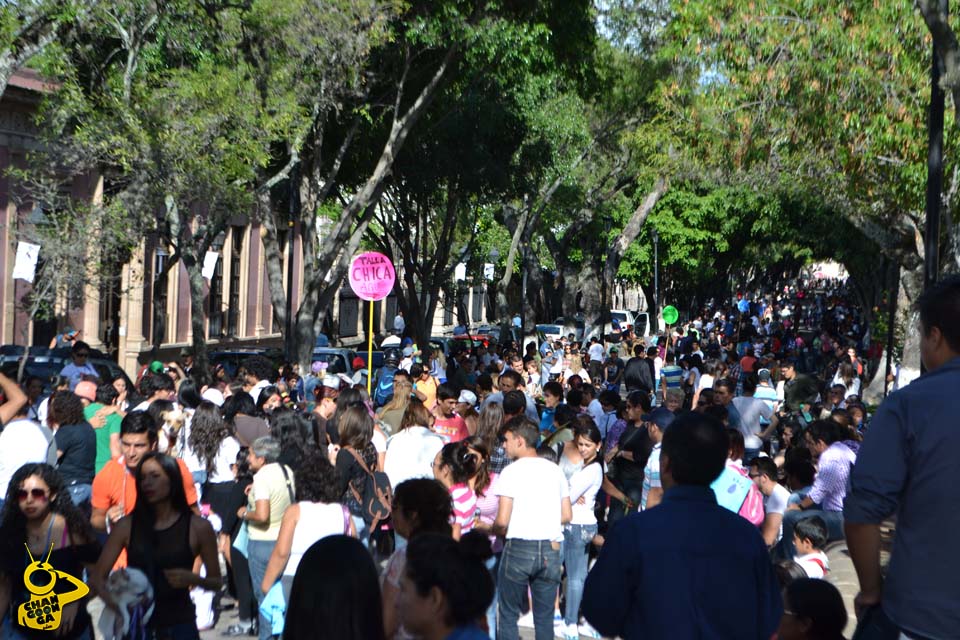 marcha derechos de los animales Morelia 02