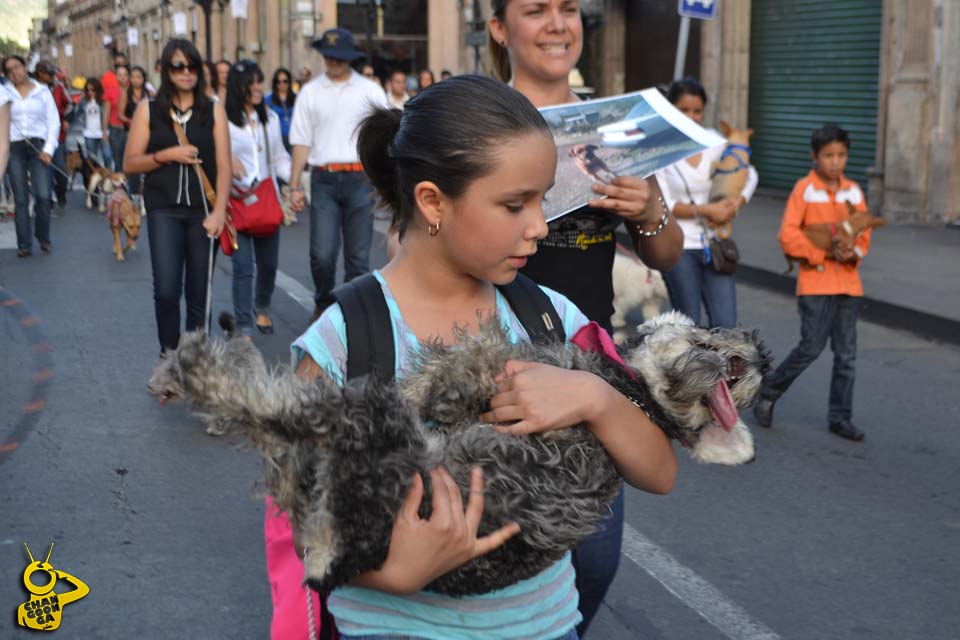 marcha derechos de los animales Morelia 09