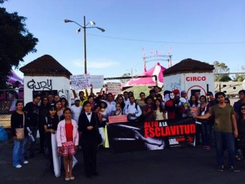 manifestación circos sin animales Morelia 3