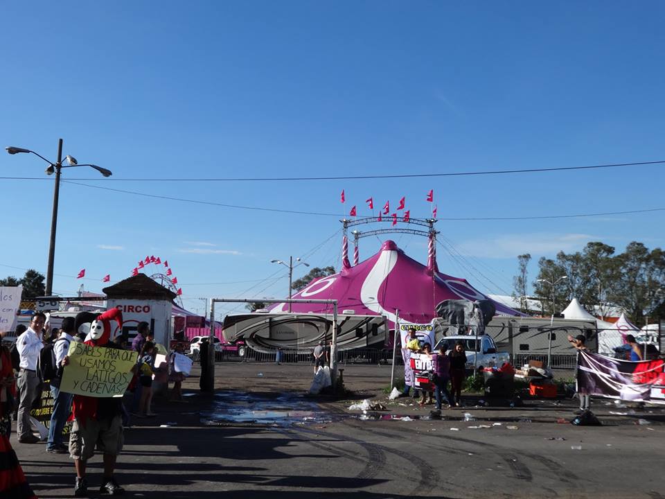 manifestación circos sin animales Morelia