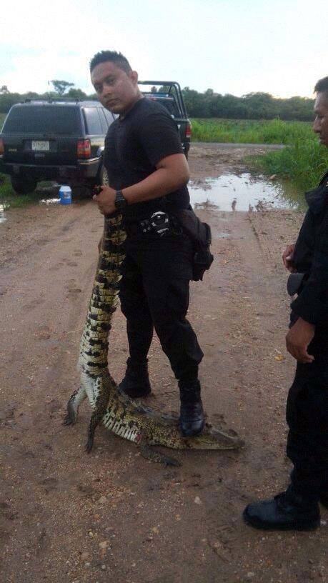 policía cazador 3