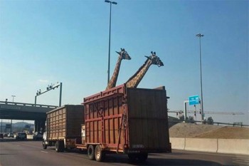 Imágen captada por uno de los conductores momentos antes del accidente