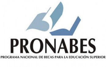 pronabes logo