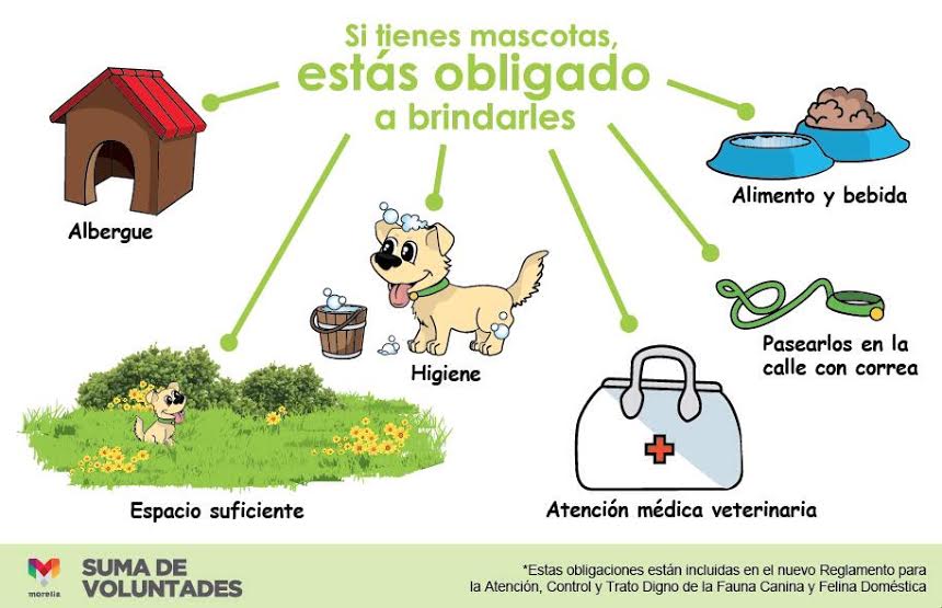 requisitos de adopción de perros Ayuntamiento de Morelia