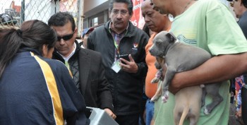 venta perros operativo Ayuntamiento Morelia Auditorio