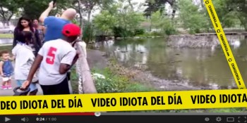 video idiota selfie con el cisne