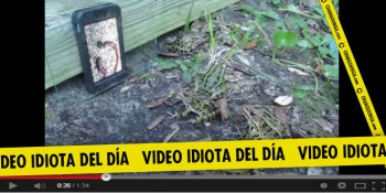 video idiota cine para ranas