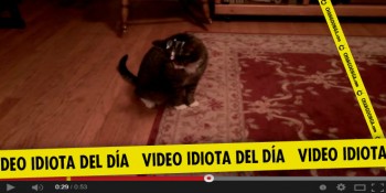 video idiota el shitu y el puntero