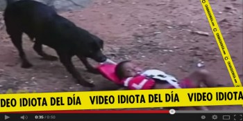 video idiota no me salves