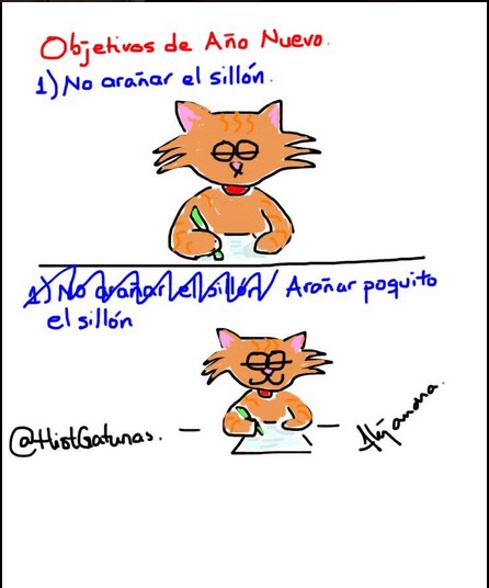 2014 2015 objetivo gatuno