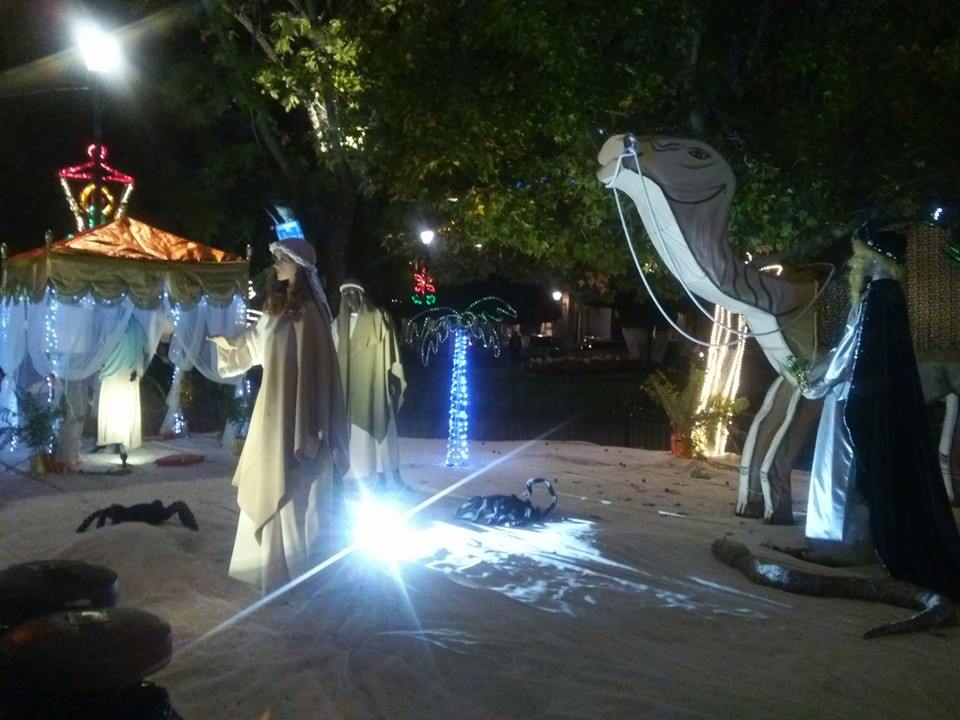 nacimiento en plaza de armas 8