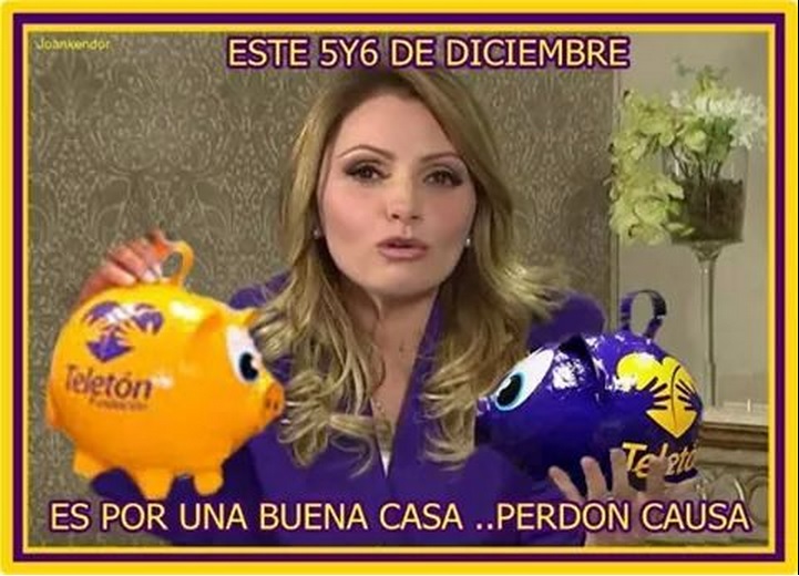 teleton 2014 memes la gaviota