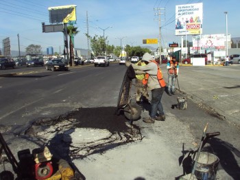 bacheo Morelia