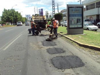 bacheo Morelia