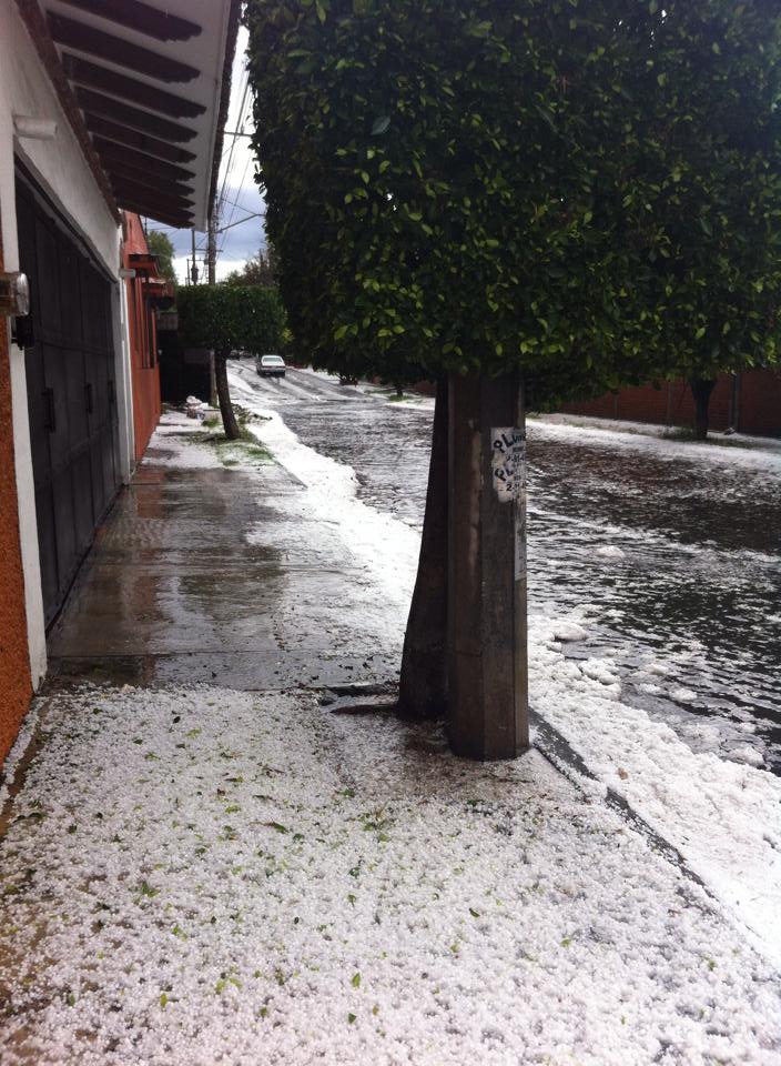 granizo Morelia Martha Judith Ortega Pineda