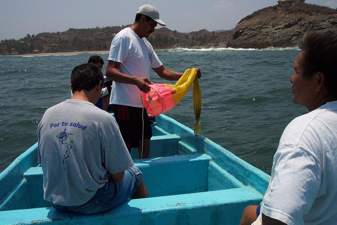 playa investigación