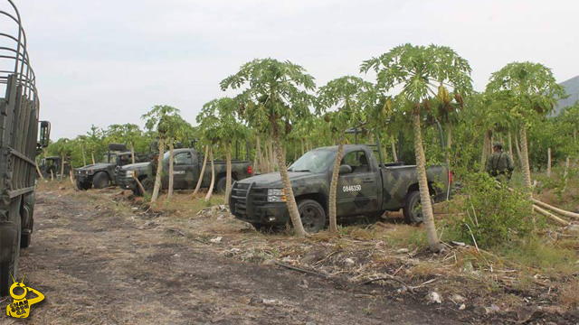 huerta-Buenavista-Michoacan-Ejercito