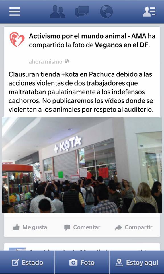 Clausuran Tienda En Pachuca