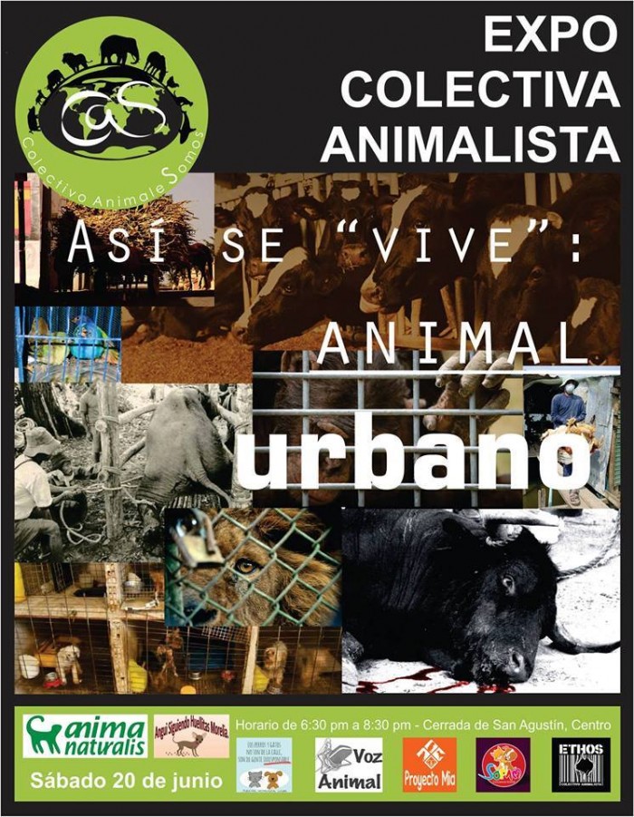 expo animalista