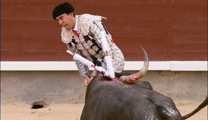 torero español testiculo