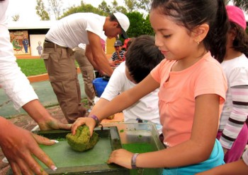 curso-verano