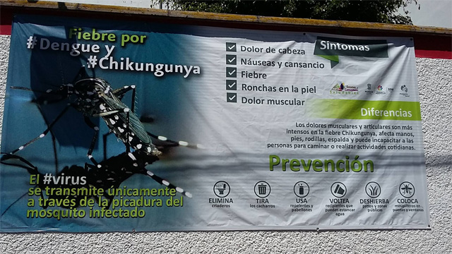 Chikungunya-campaña-prevencion