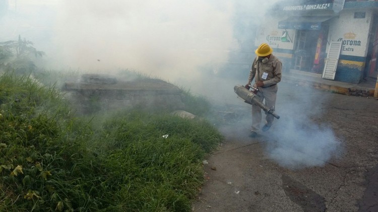 fumigación chikungunya