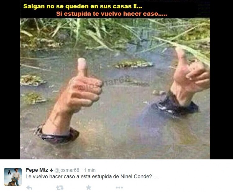 ninel conde huracan patricia meme