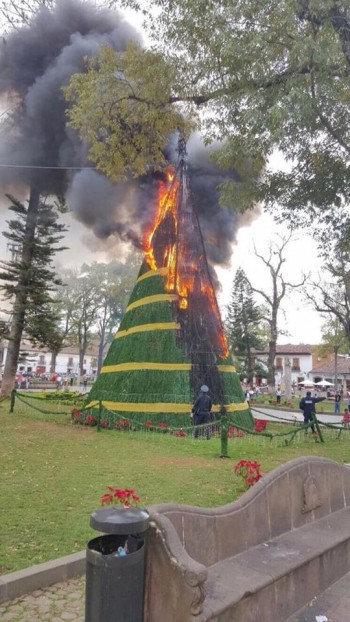 arbol navideño patzcuaro