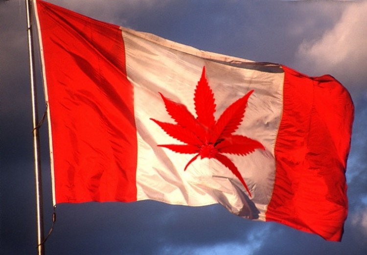 canada mota bandera